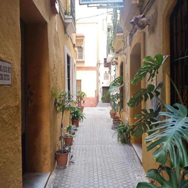Light Of Seville Sevilha Exterior foto